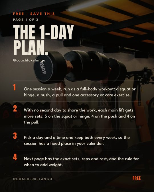 Cover of The 1-Day Plan
