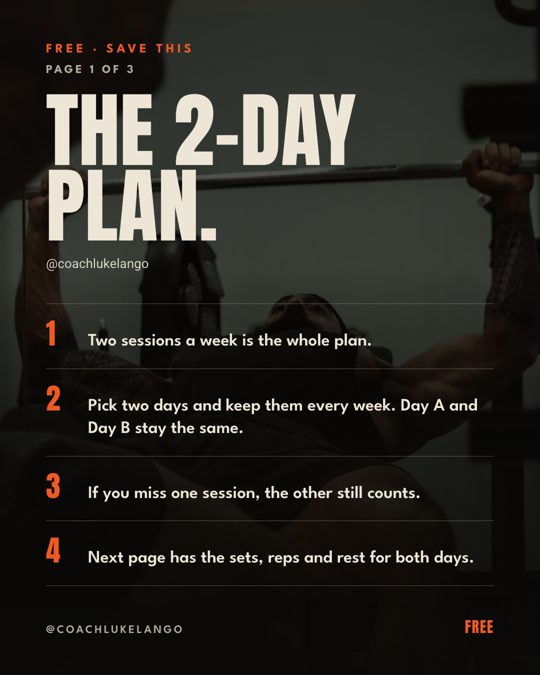 Cover of The 2-Day Plan